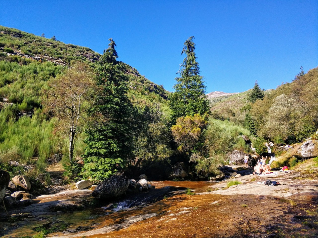 Lagoas da Travanca.jpg