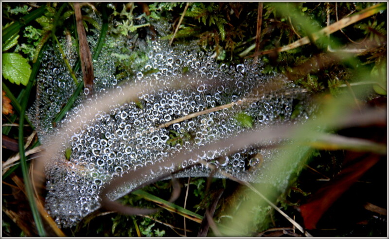 Manuela na Suiça 429.jpg