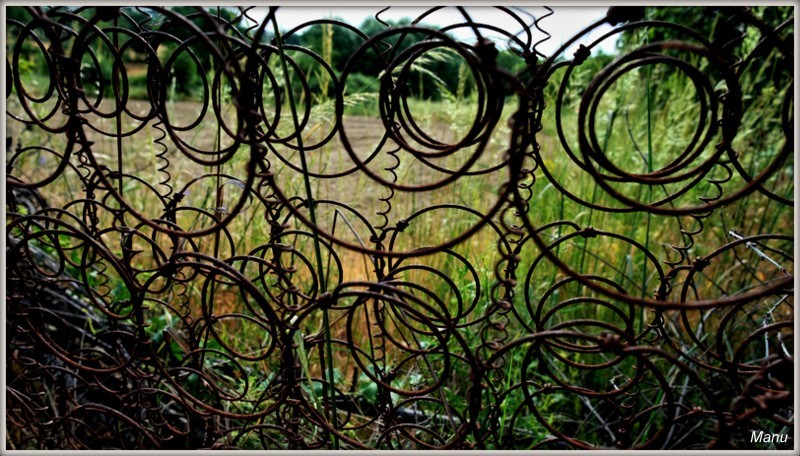 DSCF9226 enredados.jpg