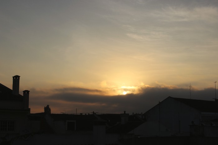 Quarentena - dia 41.jpg Quarentena - dia 41.jpg