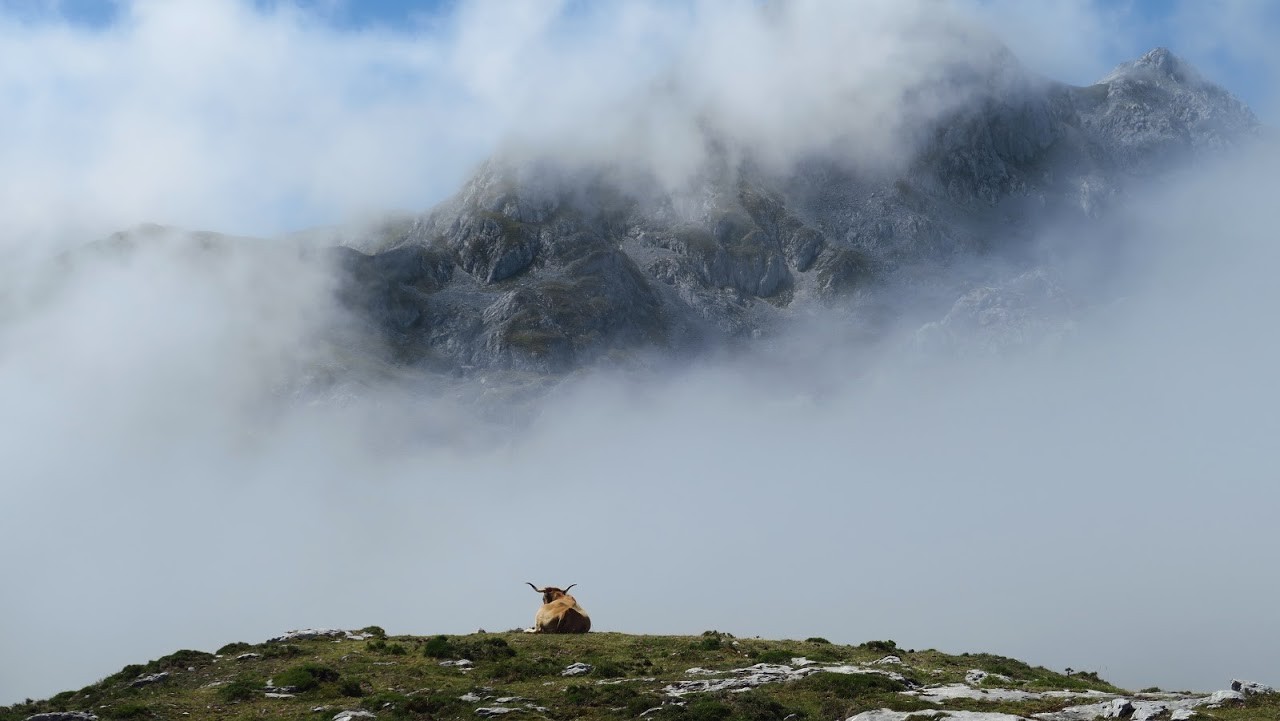 IMG_0380.JPG IMG_0380.JPG