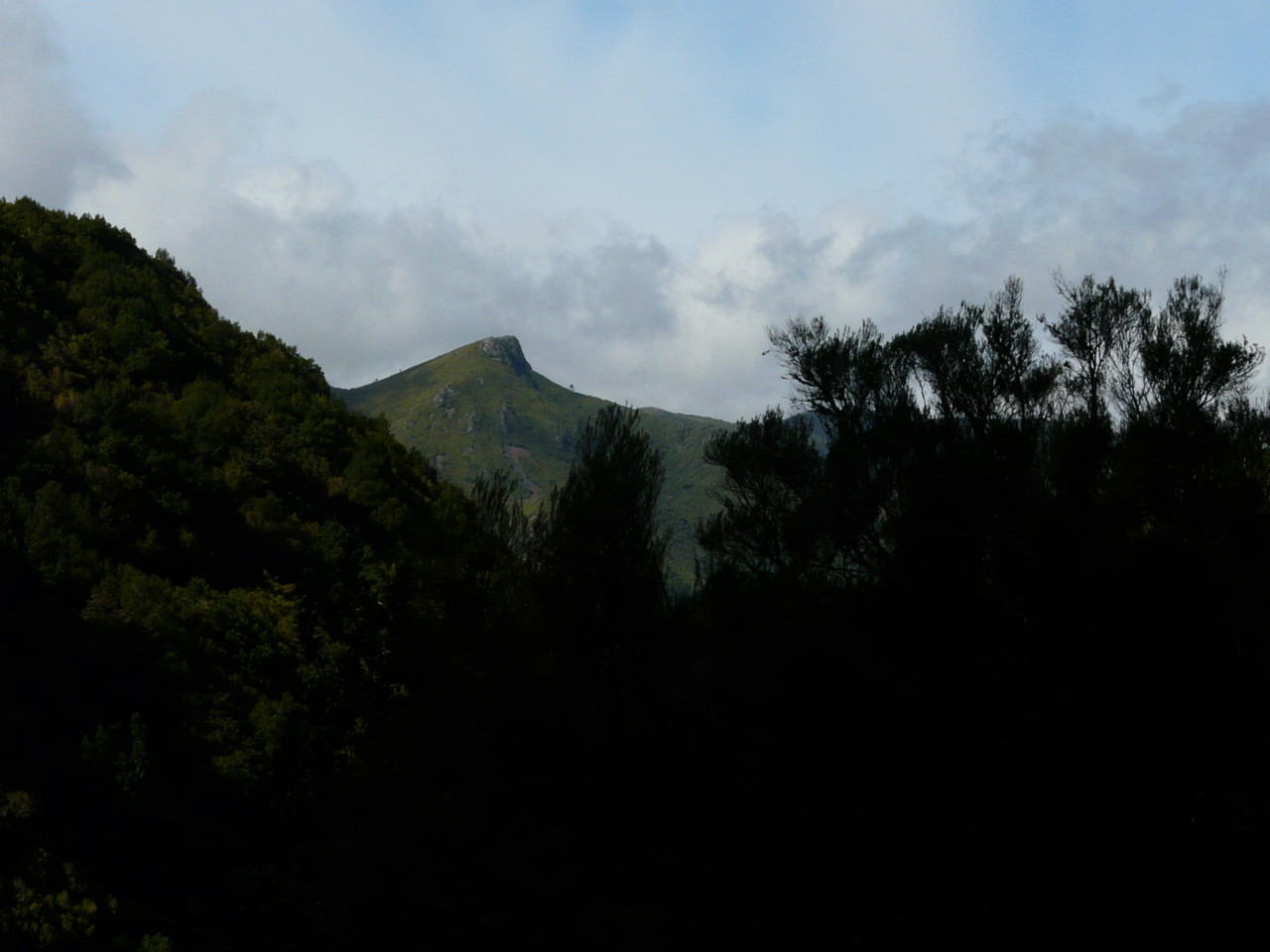 25 Fontes (10).jpg 25 Fontes (10).jpg