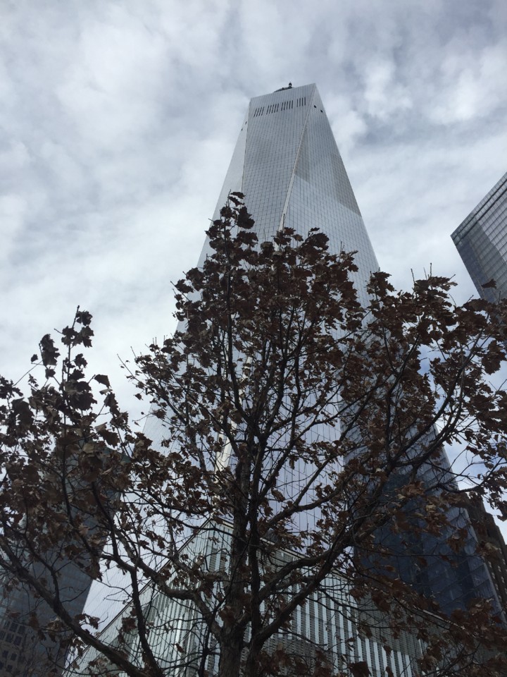 IMG_8926.JPG IMG_8926.JPG