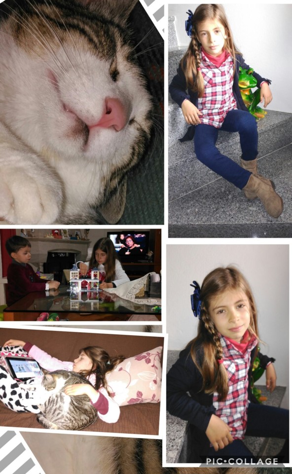 Collage 2018-04-15 15_41_21.jpg