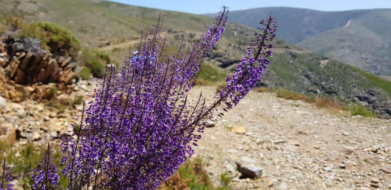 20180616_131534.jpg 20180616_131534.jpg