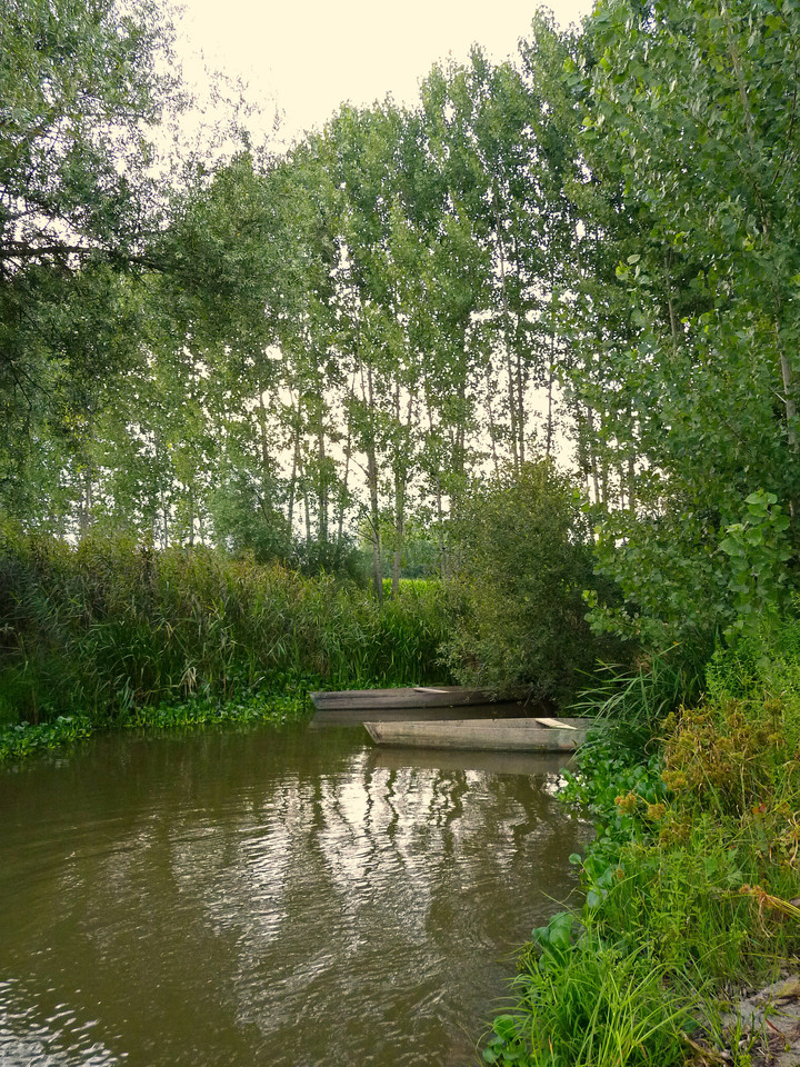 Pateira de Fermentelos (28).jpg