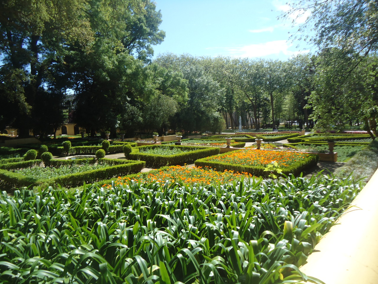 DSC06052.JPG DSC06052.JPG