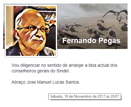 FernandoPegas4.png