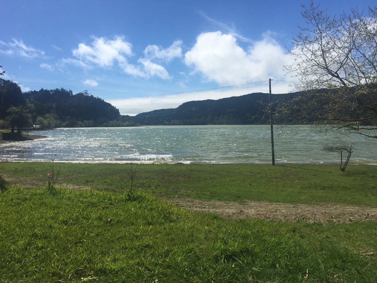 IMG_3798.jpg IMG_3798.jpg