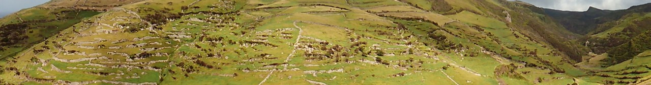 Ponta do Albarnaz, Flores (4).jpg