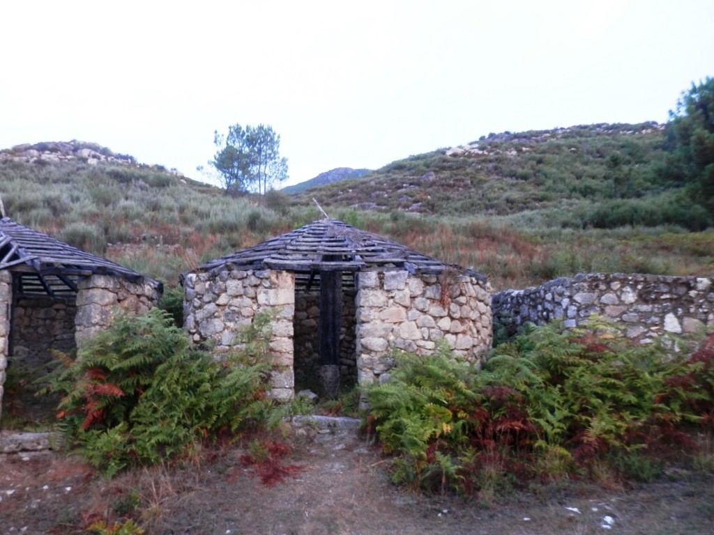 P9120472.JPG P9120472.JPG