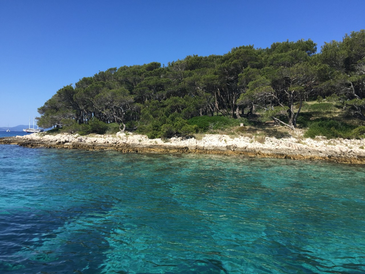 20170529_084220472_iOS.jpg 20170529_084220472_iOS.jpg