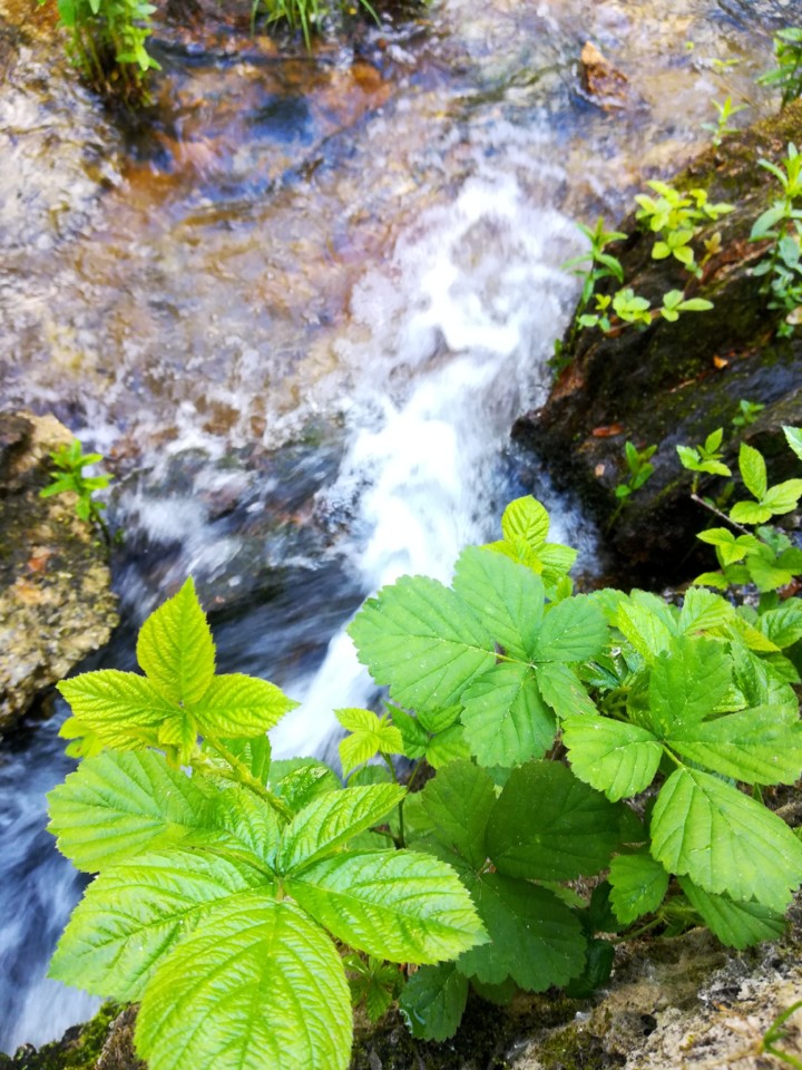 IMG_20180512_104131.jpg IMG_20180512_104131.jpg