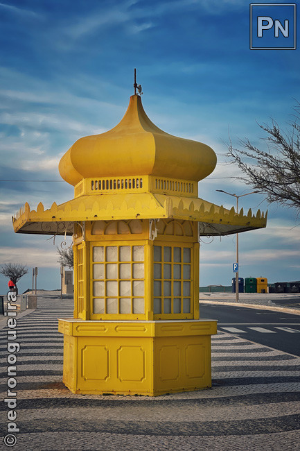 Fev_2021_036a 3_2 650px.jpg