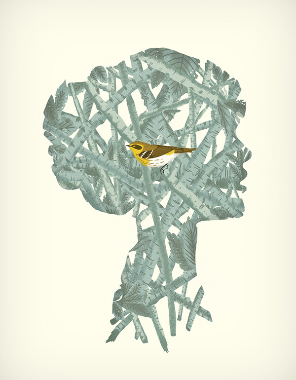 pardais ao ninho.jpg