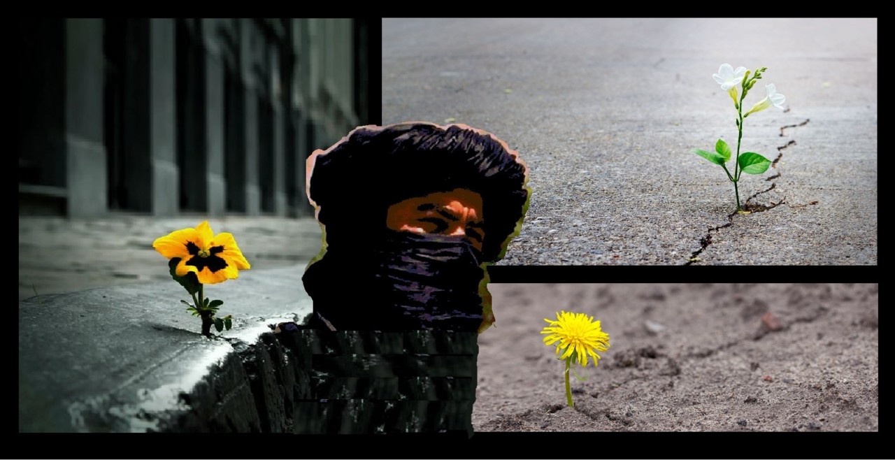 Amor, no Meio do Caos.jpg