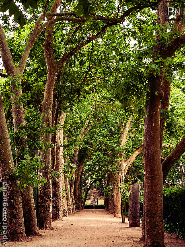 Jun_2023_024 650px.jpg