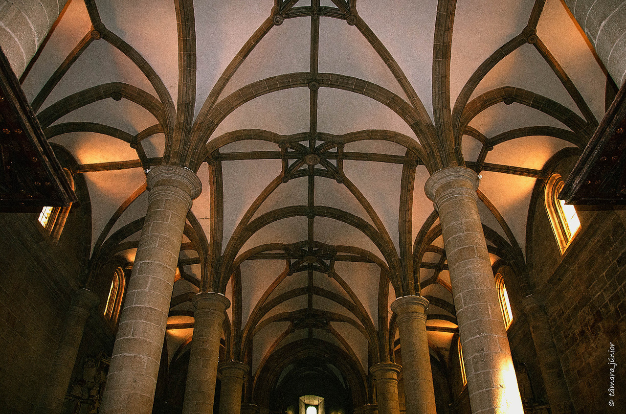 06a.- 2012 - Linha Sabor (Pocinho-Moncorvo) 282.jp