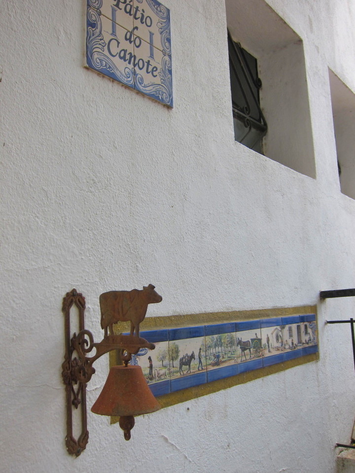 IMG_0951.jpg IMG_0951.jpg