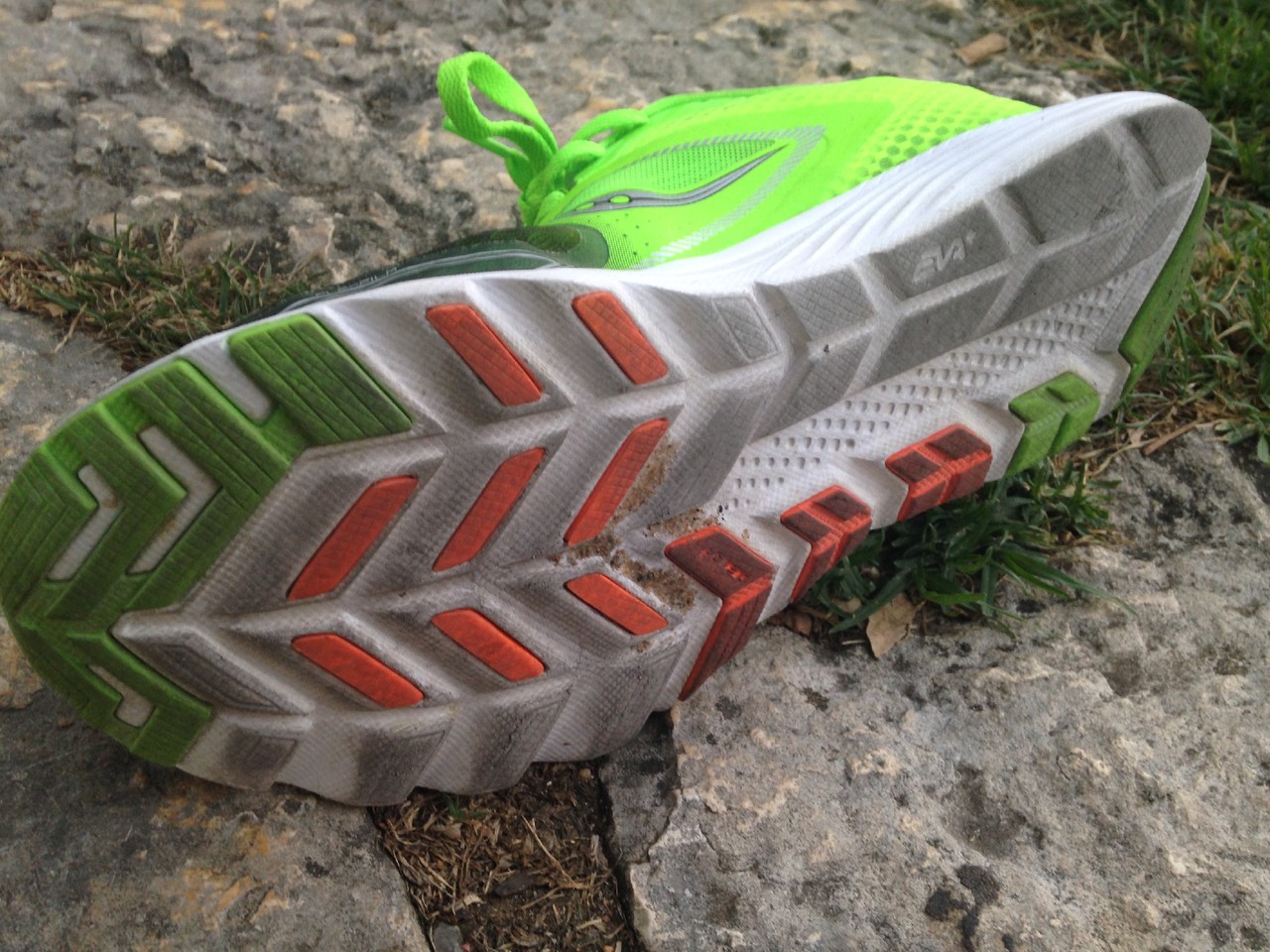 IMG_3721.JPG IMG_3721.JPG