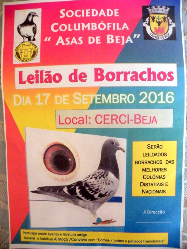 Leilão de Ourique 2016 030.JPG