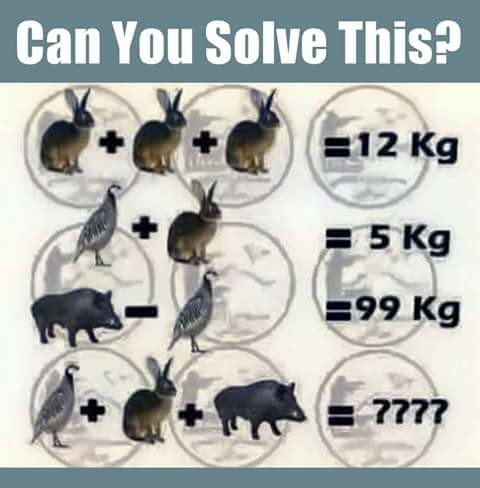 16603078_1835920183291253_5461471776216104299_n.jp