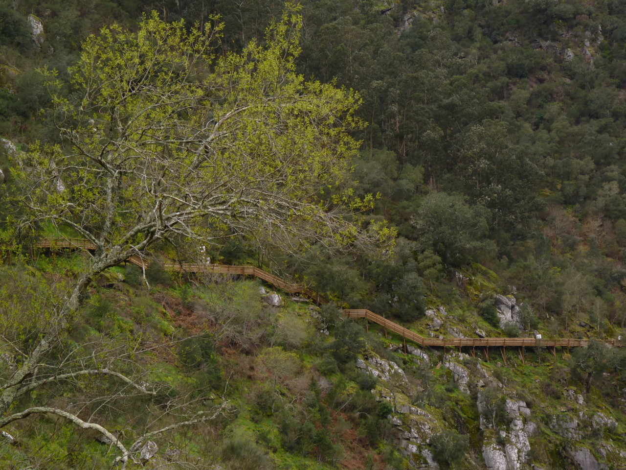 Paiva (17).JPG Paiva (17).JPG