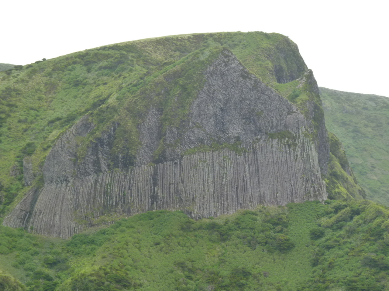 Flores - Rocha dos Bordões (1).JPG