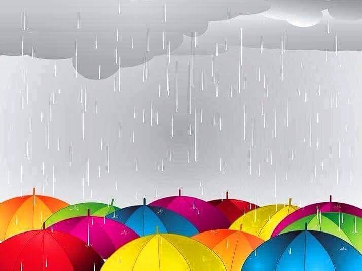 56558698_1223317077845404_2228966994445598720_n.jp