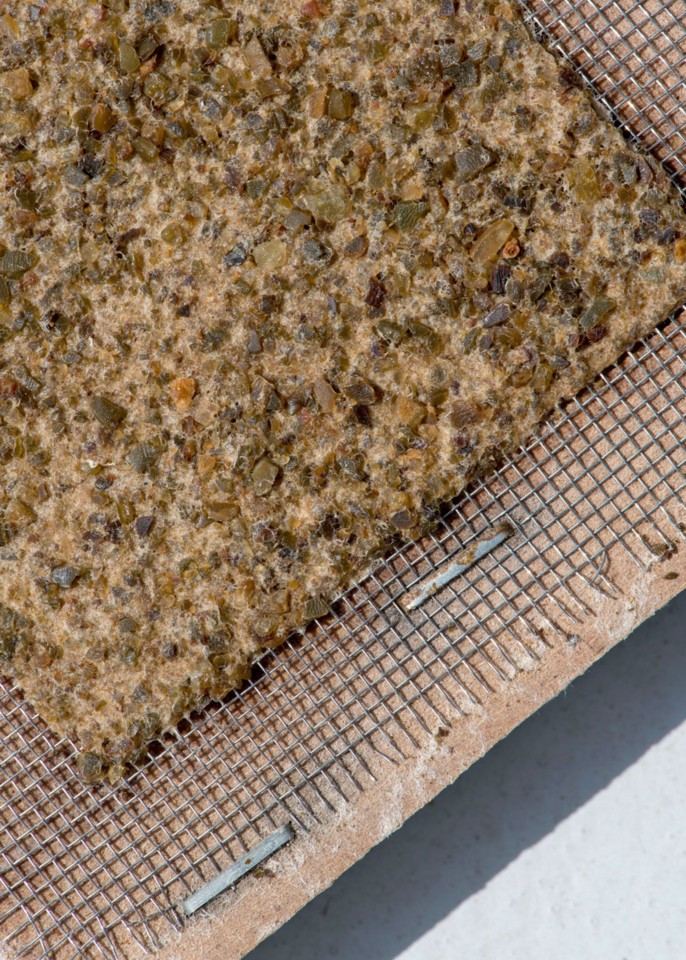 from-venice-with-algae-pablo-dorigo-sempere-design