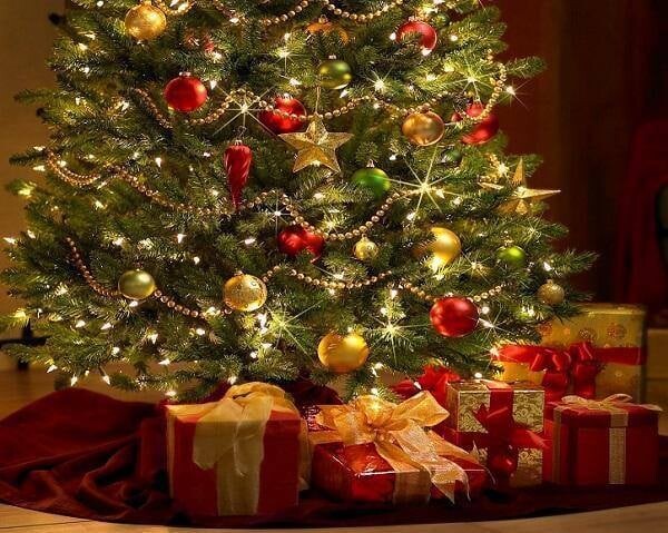 131818728_3562122880542252_4192036801423401805_n (