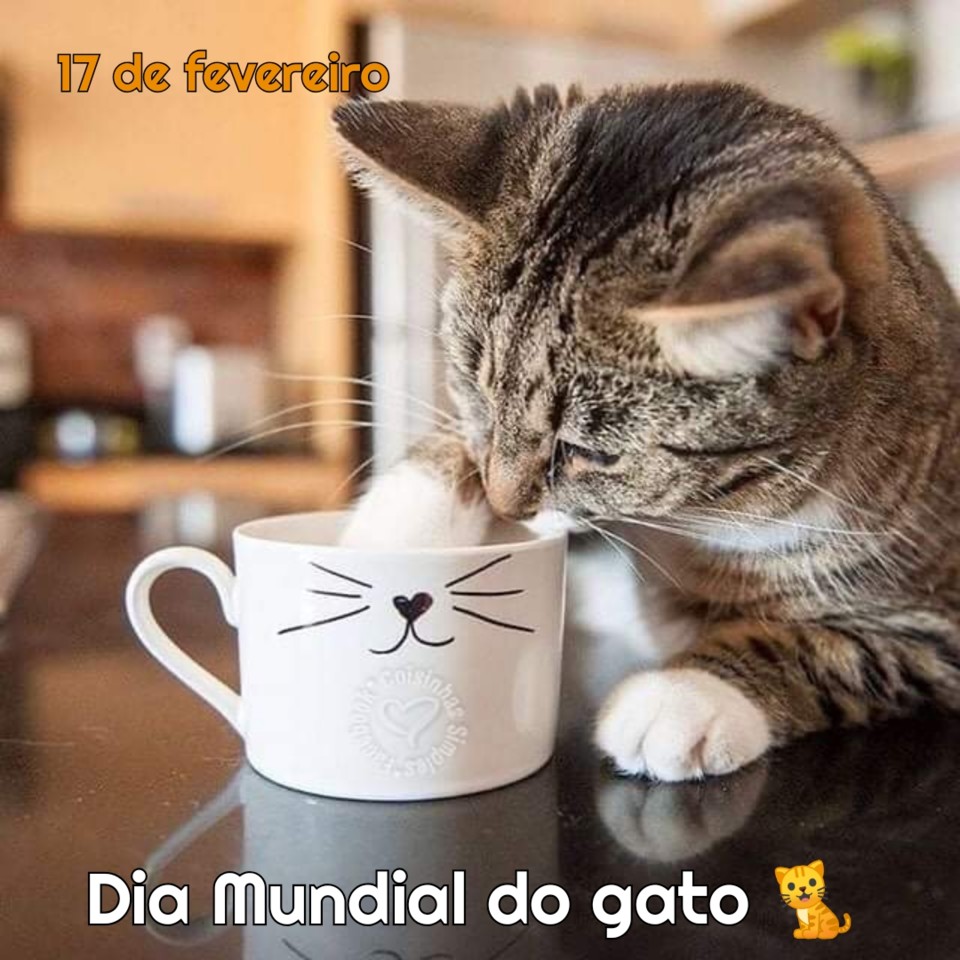 Dia Mundial do Gato - Clube de Gatos do Sapo