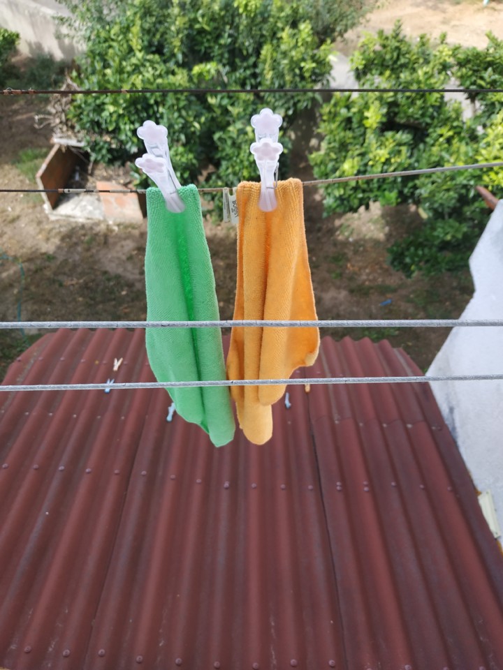 IMG_20190810_103214.jpg IMG_20190810_103214.jpg