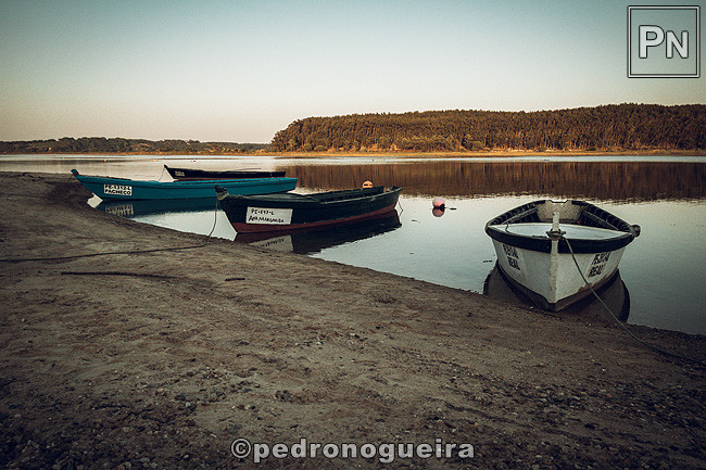 Jul_2021_042a 650px.jpg