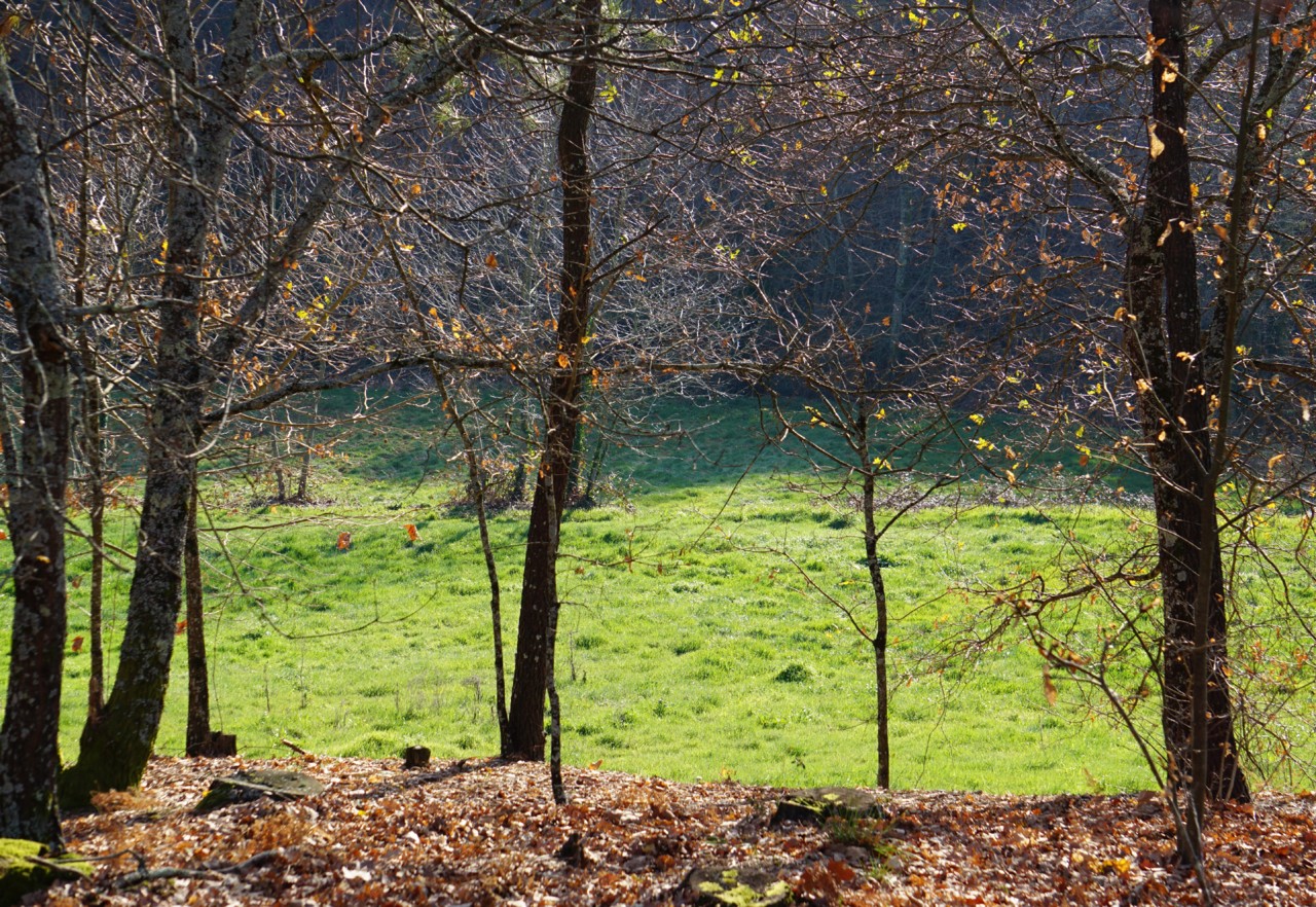 DSC02903.JPG DSC02903.JPG