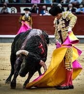 Juan Ortega-Meia verónica..jpeg