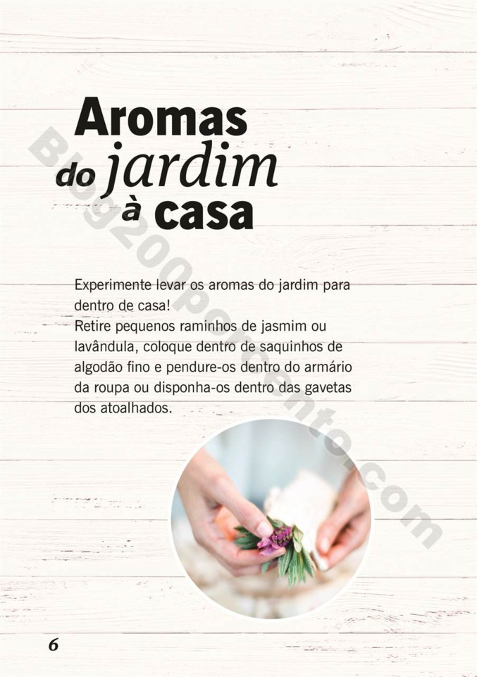 plantas_lidl_mercado_005.jpg
