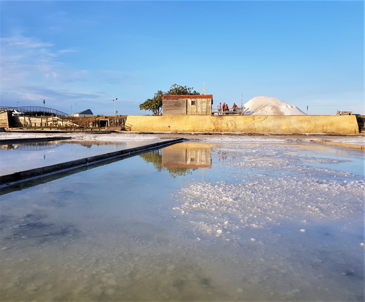 20170825_192225.jpg 20170825_192225.jpg