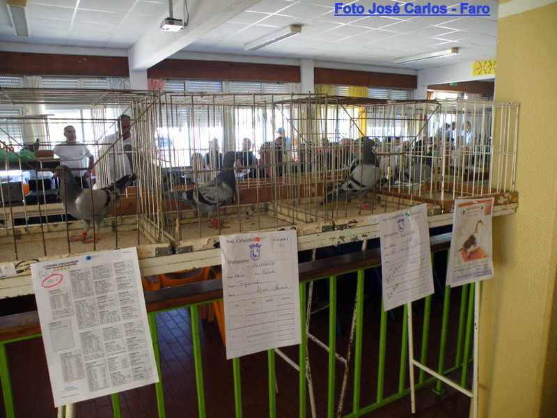 Ourique 2017 003.JPG