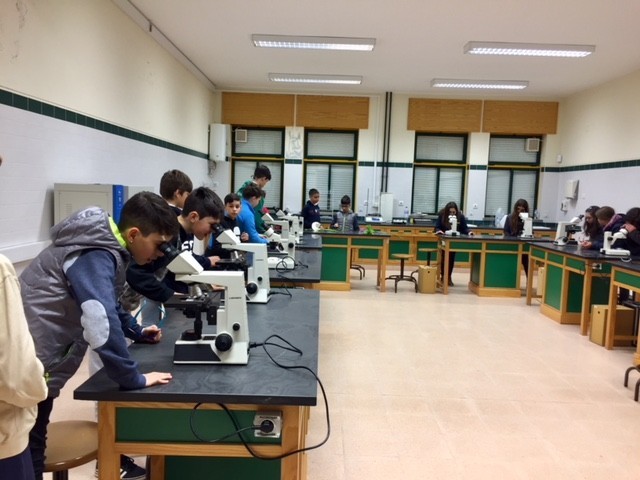 Visita a Molelos (5).jpg