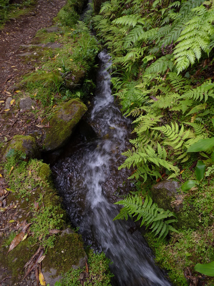 Percurso até ao Poço da Ribeira do Ferreiro - Il
