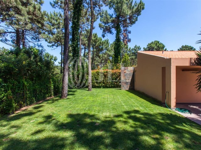 aroeira15.jpg aroeira15.jpg