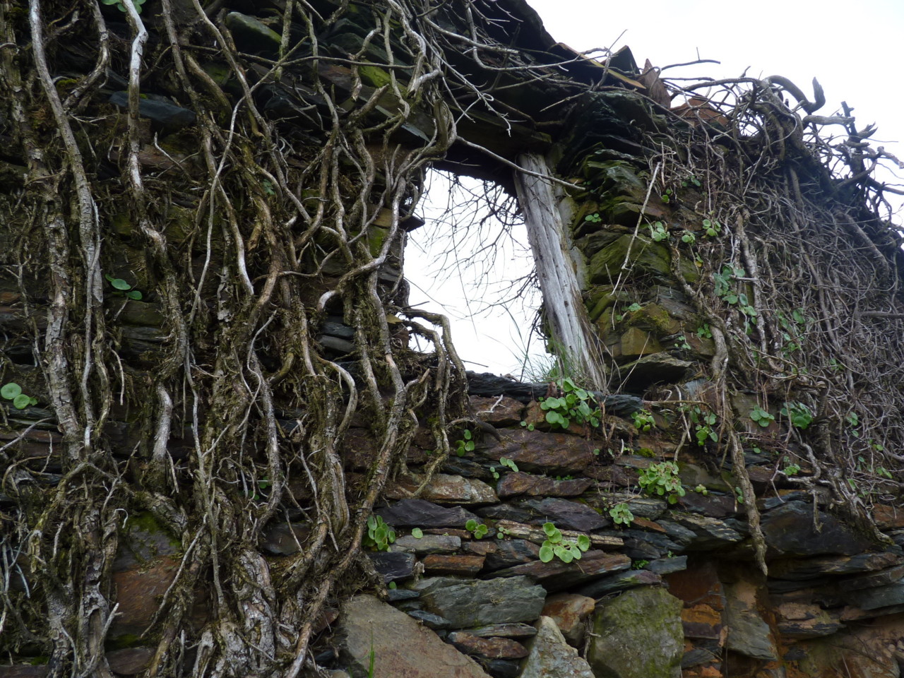 Lousã (6).JPG Lousã (6).JPG