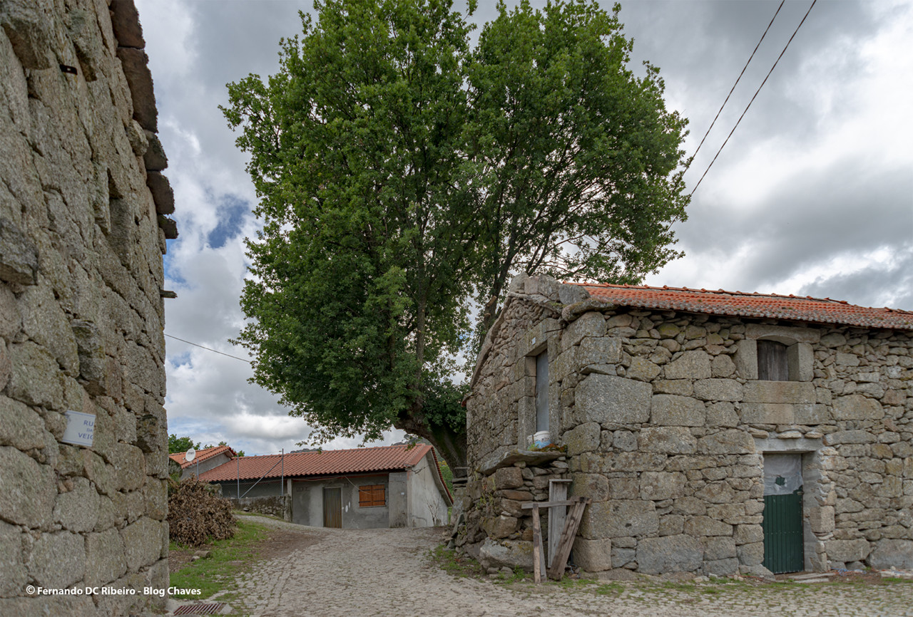 1600-romainho (42).jpg