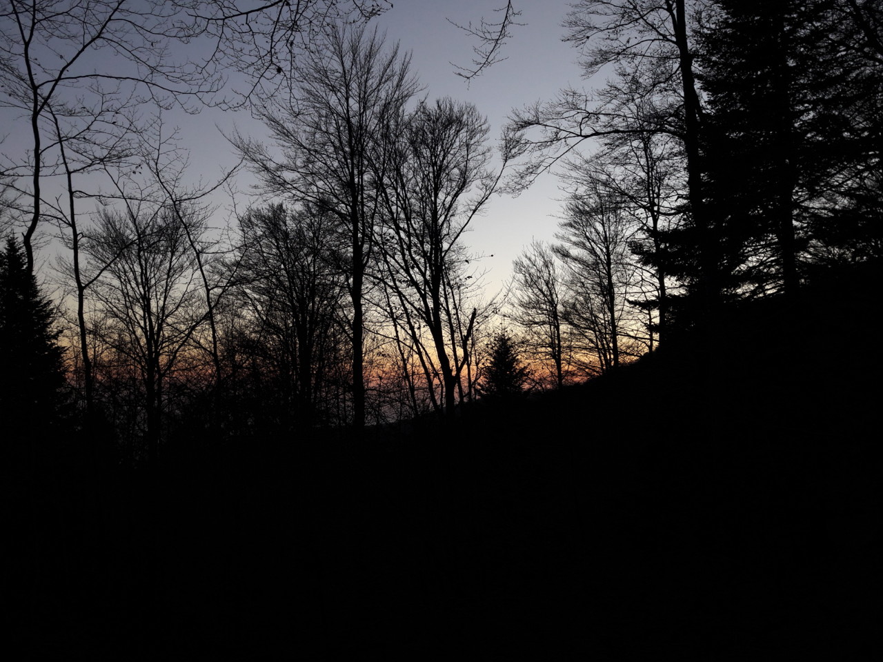 20181118_164518.jpg 20181118_164518.jpg