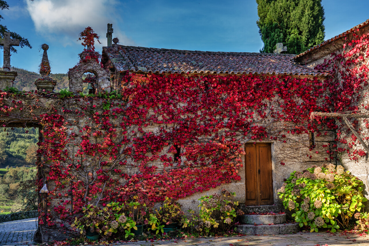 outono casa de tormes fundação Eça de Queiroz.j