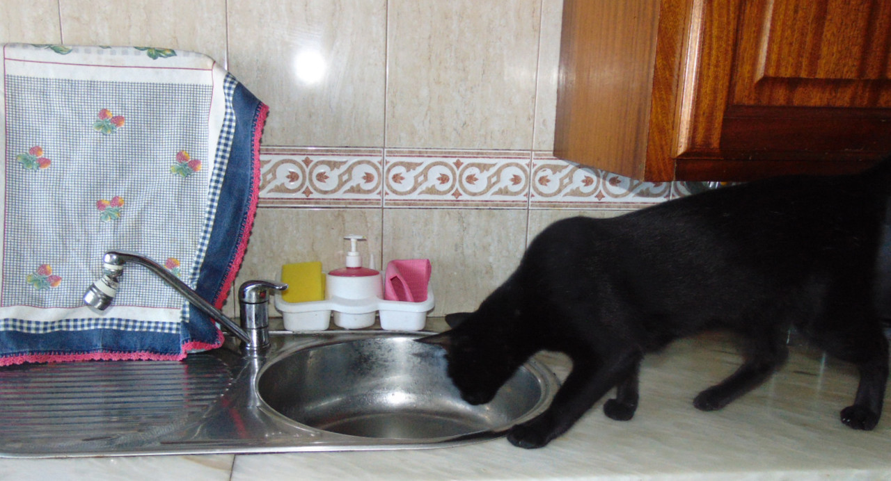 rafel2345.JPG rafel2345.JPG