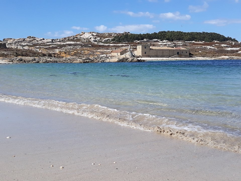 43467029_2274573499236788_4432202779691319296_n.jp