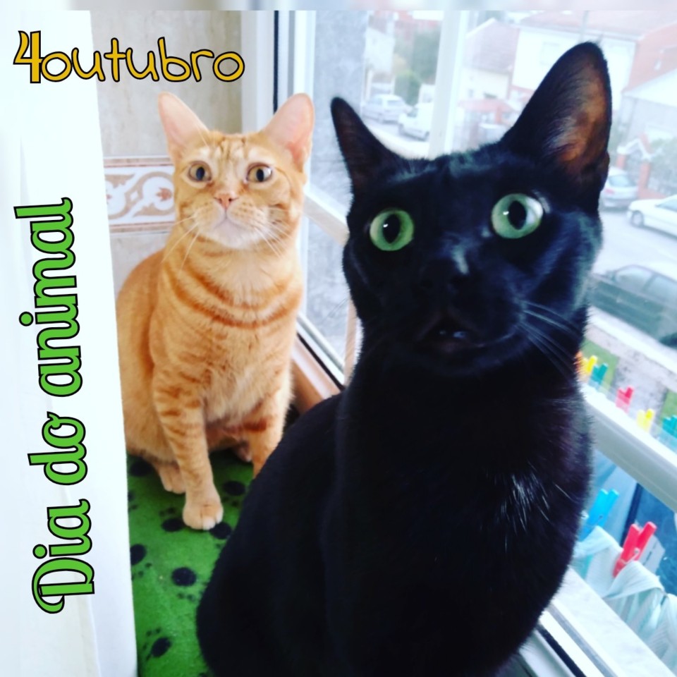 SquarePic_20191004_14292077.jpg SquarePic_20191004_14292077.jpg