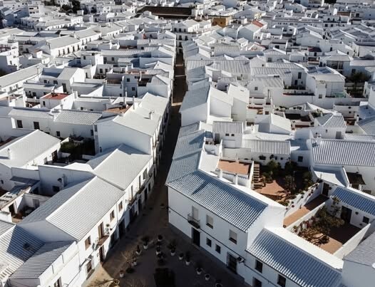 544429034_122140489622840453_7733809880796795244_n